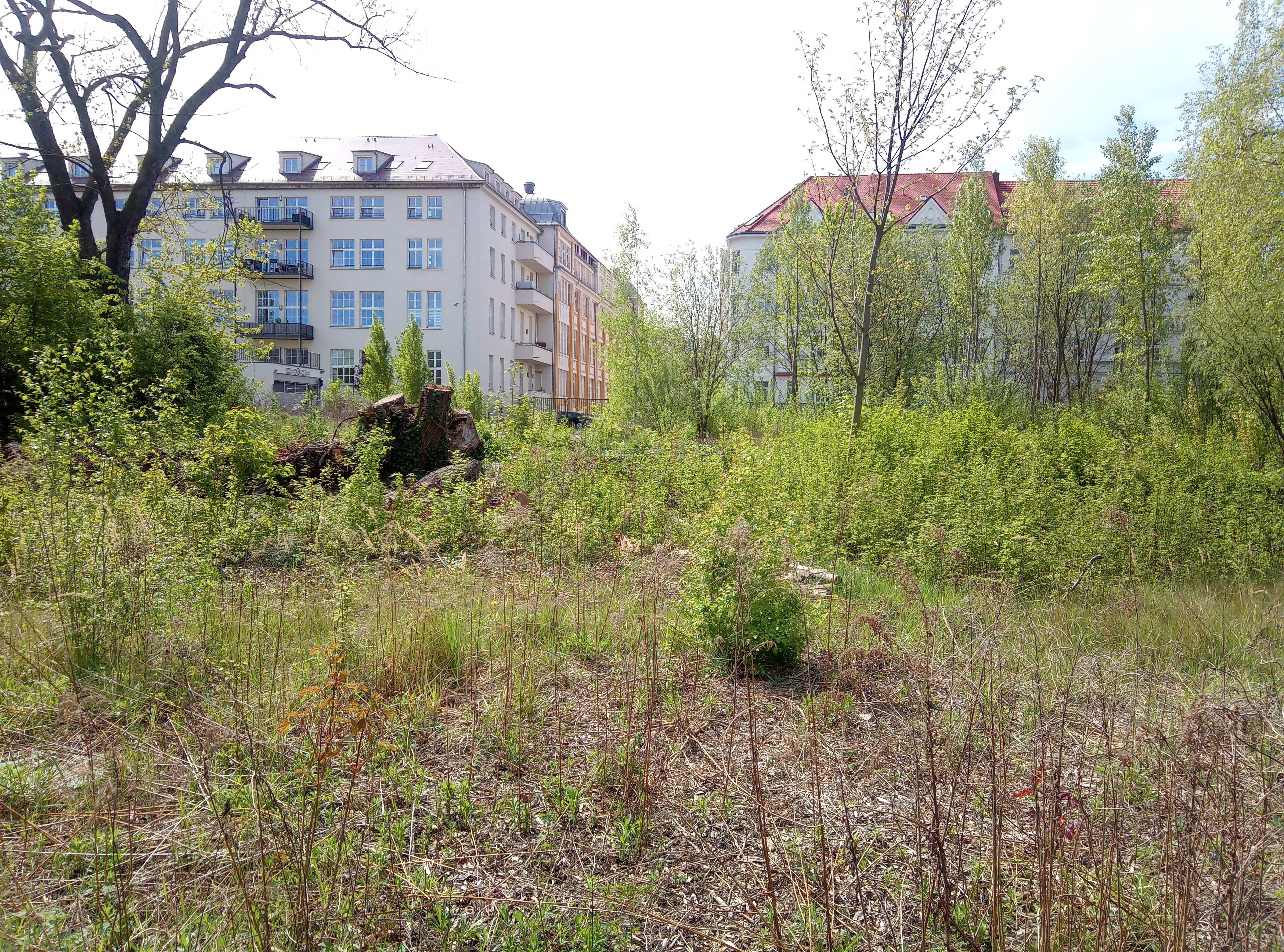 Bebauungsplan Nr. 443 „Gemeinbedarfsfläche Döbelner Straße“ der Stadt Leipzig