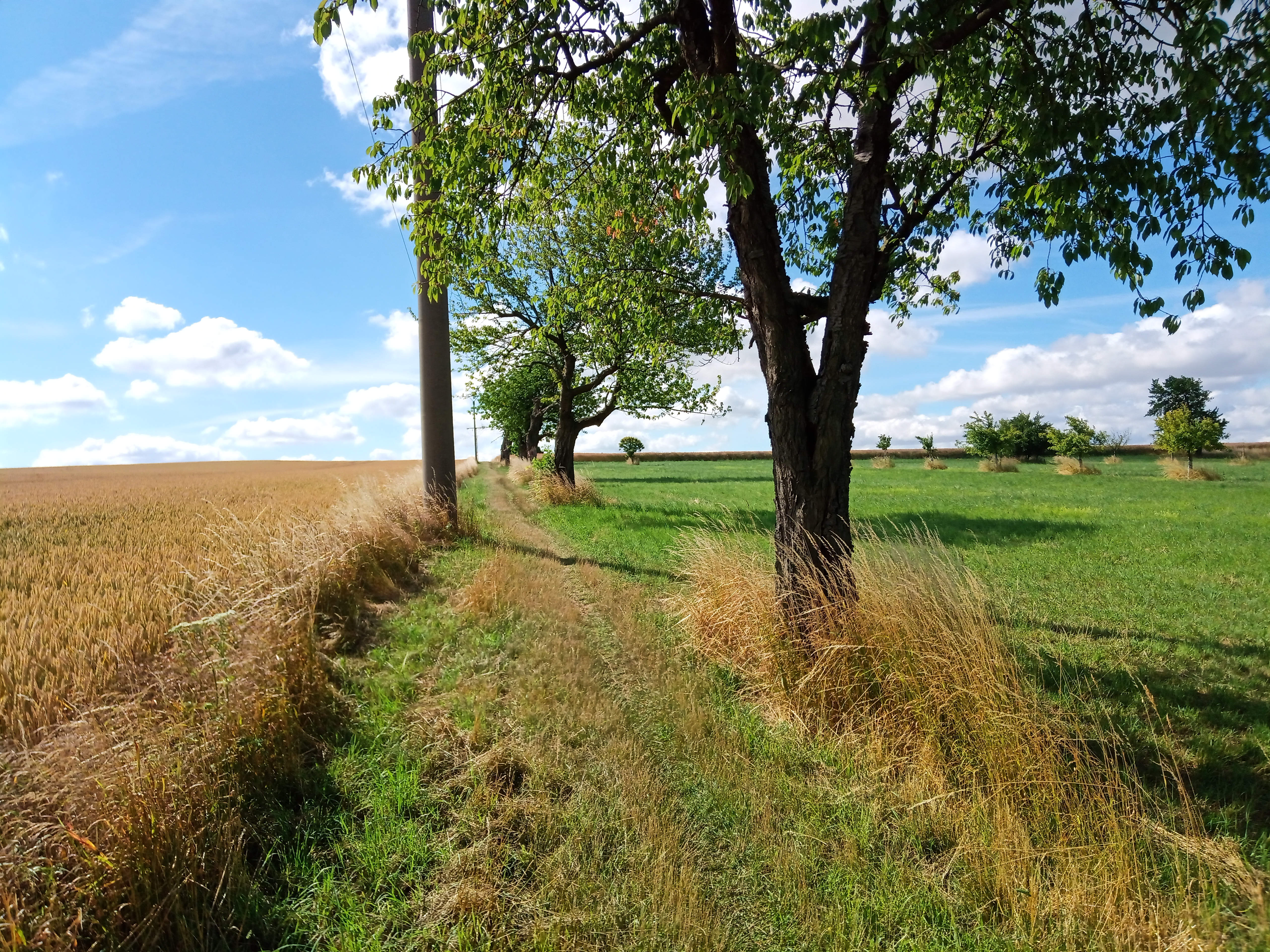 Radweg Schweimnitz-Meila