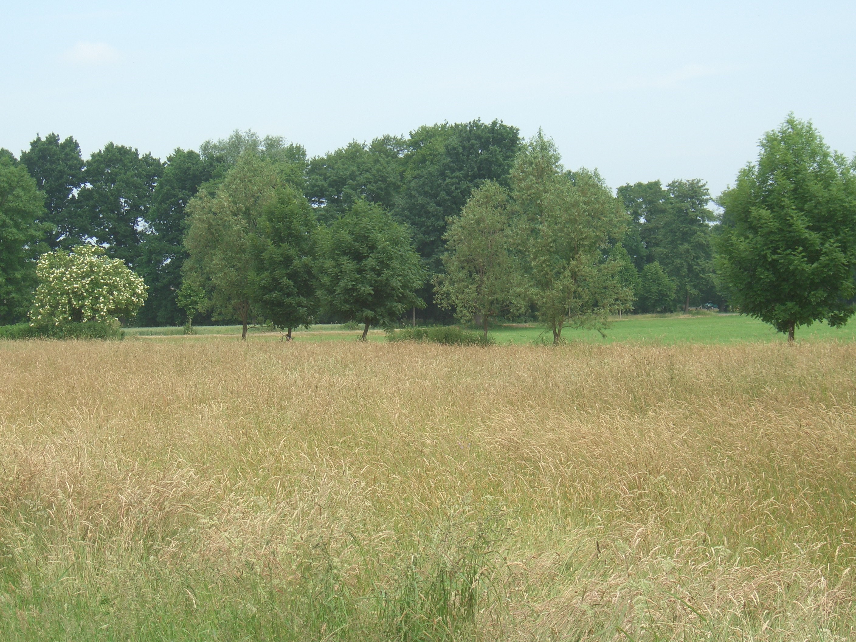 Hochwasserschutz in Wellerswalde